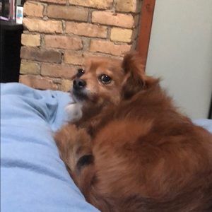 Meet your Posher, Natalie